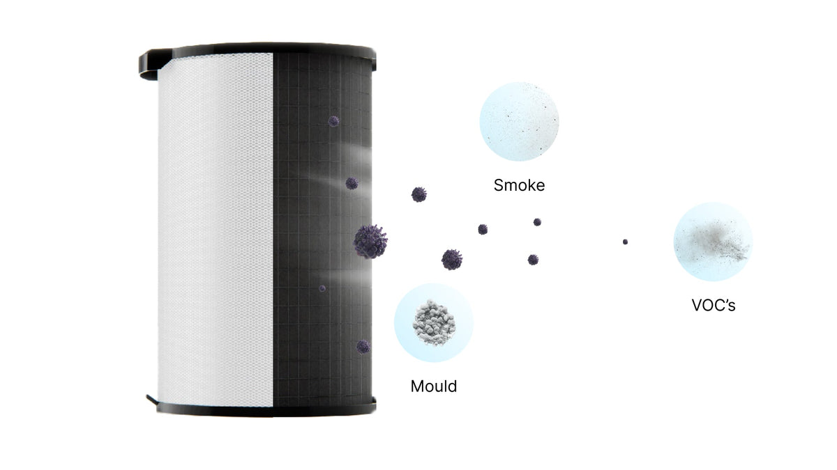 What Are VOCs and How Do They Impact Your Health?