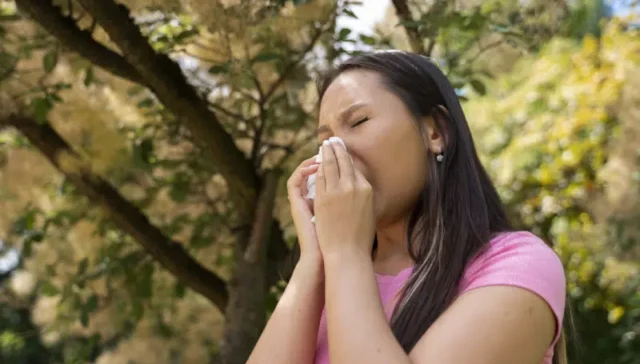 Pollen Allergy