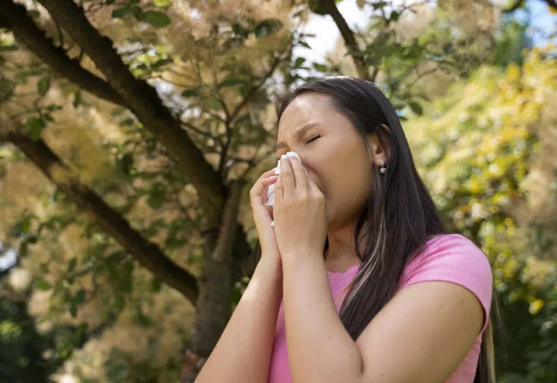 Pollen Allergy