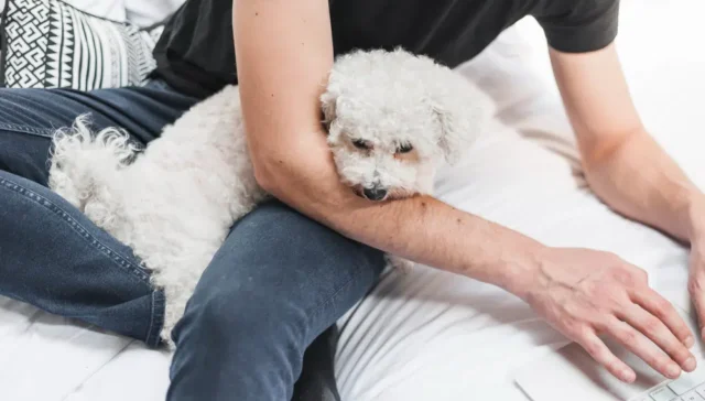 Lingering Pet Dander Scents