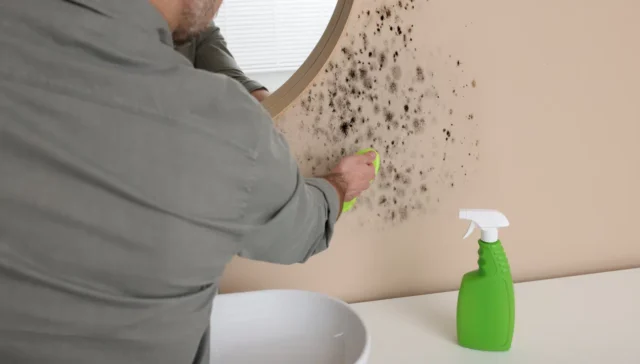mould and mildew scents