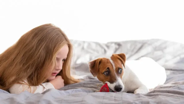 Pet Allergens in the Bedroom