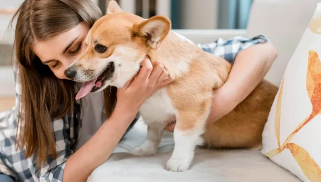 Pet Allergy Triggers