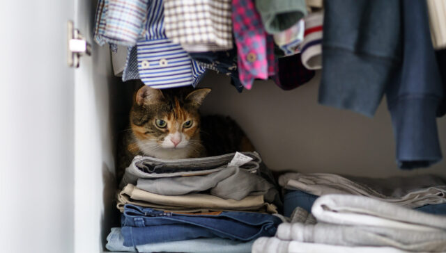 Closet Odours