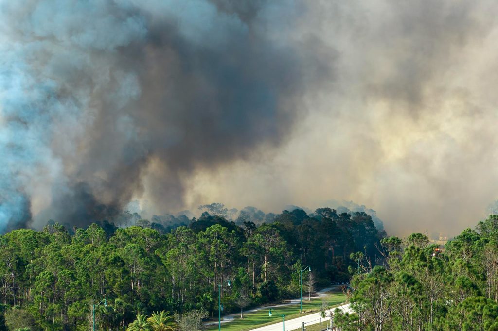 bushfires smoke