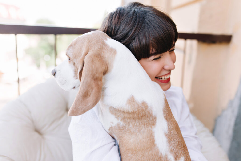 Pet Allergens in Bedroom