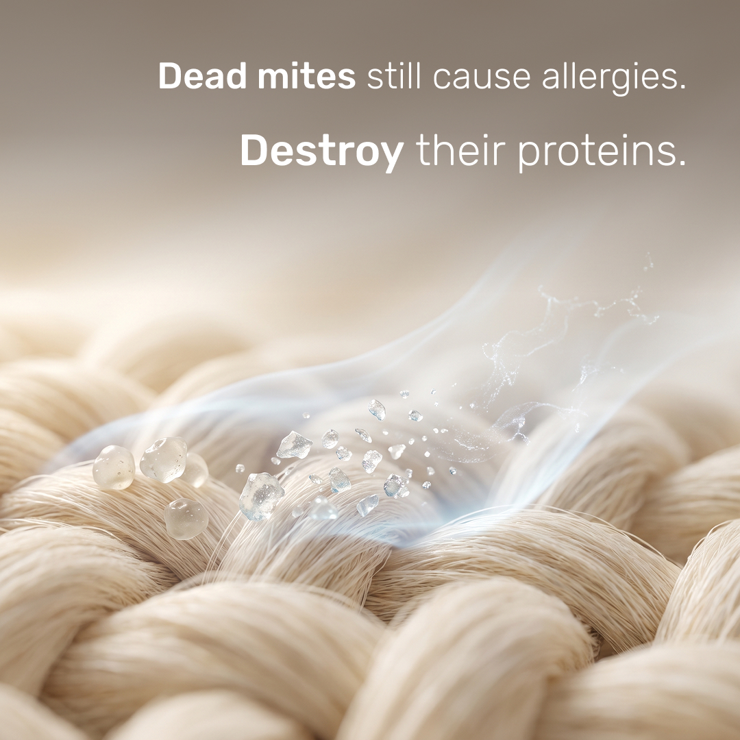 dust mite allergies