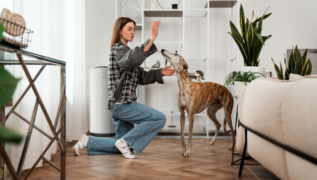 Best Air Purifier for Pet Odours