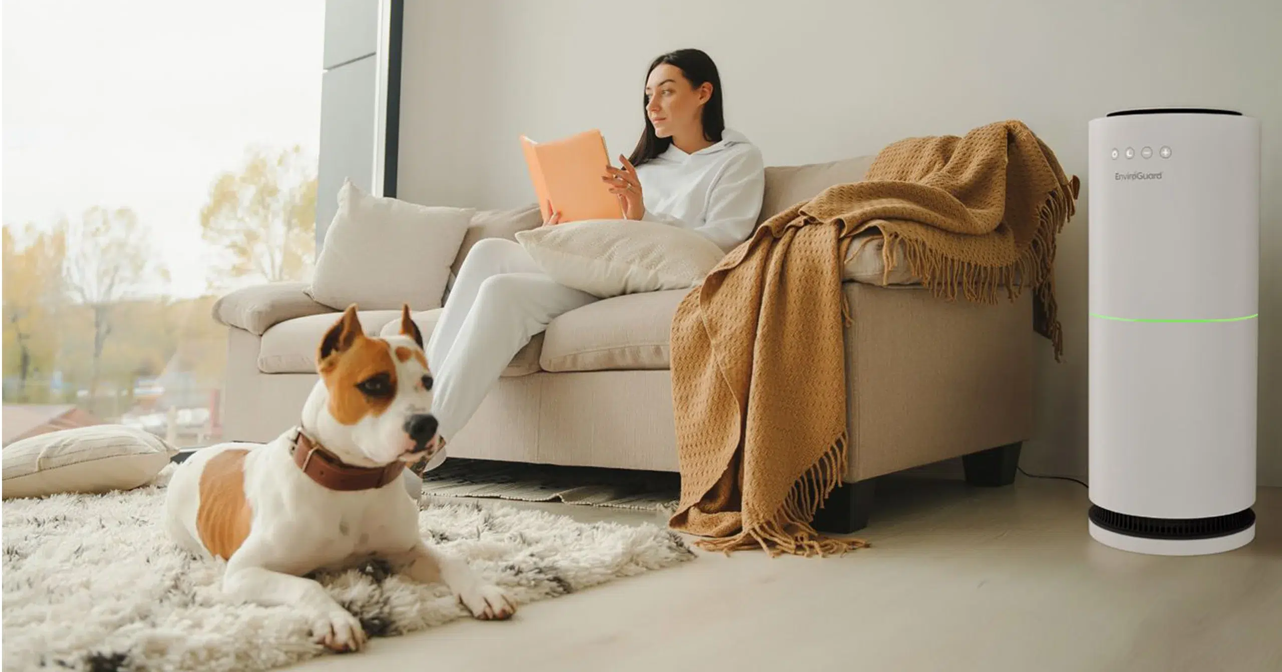 The Updated Air Purifier Buying Guide