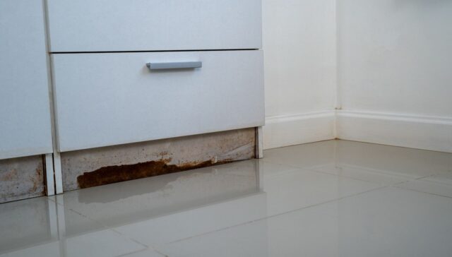 best air purification to reduce mould