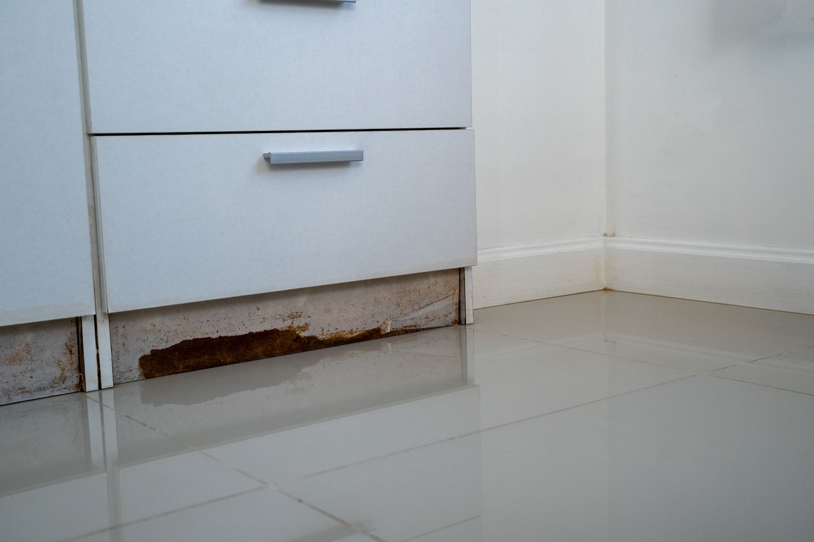 best air purification to reduce mould