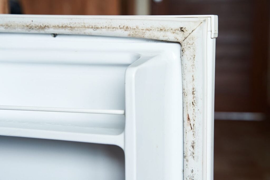 mould in high-humidity homes