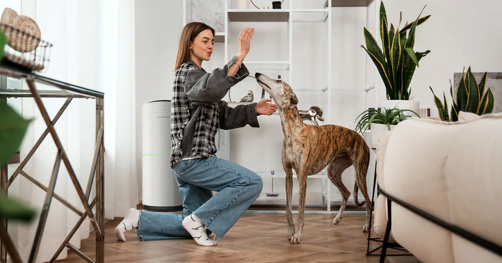 Best Air Purifier for Pet Odours