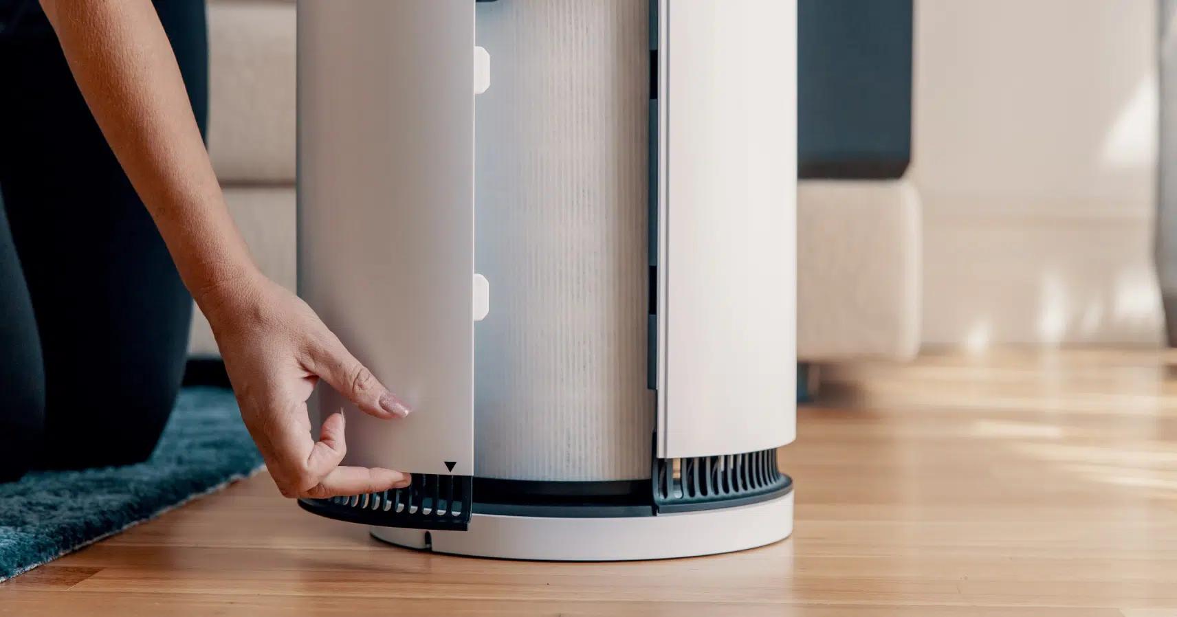 Air Purifier Filter Replacement