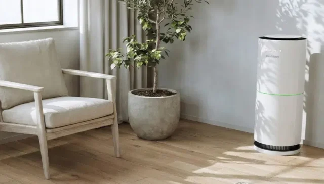 Top Ranked Air Purifiers for VOCs 2026