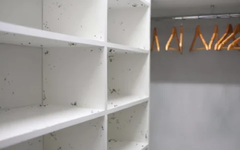 How to Get Mould Out of Clothes