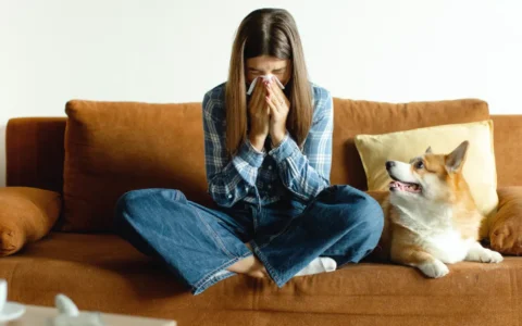 Can Develop Pet Allergies Later