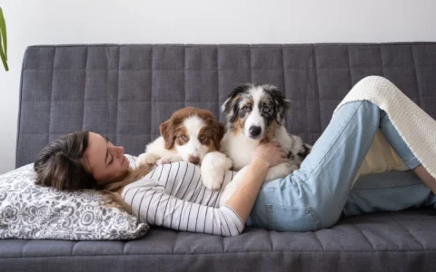 How Multiple Pets Affect Indoor Allergen